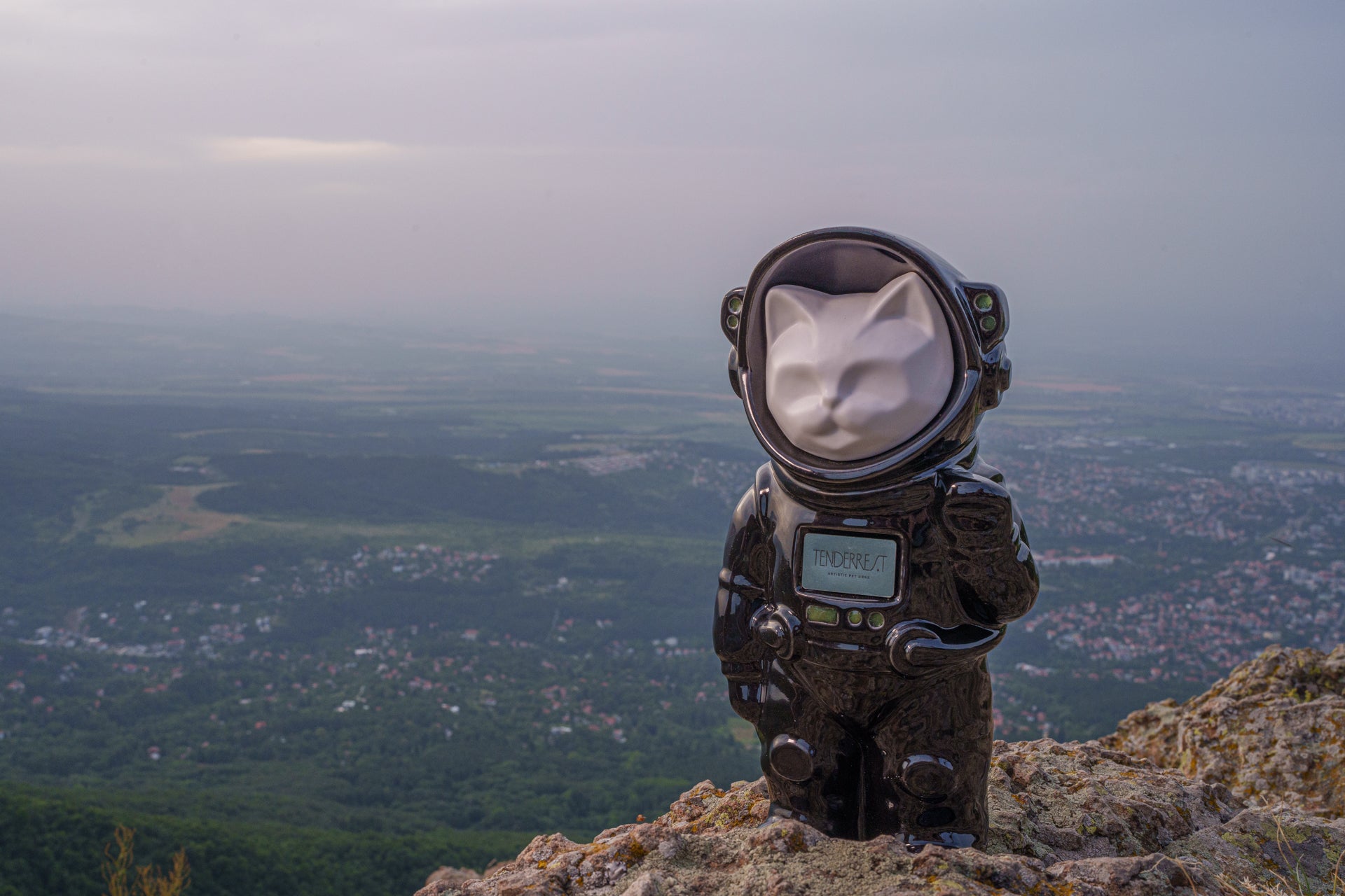 Handmade Customisable Cat Cremation Urn. Handmade Astronaut Art Urn by TenderRest