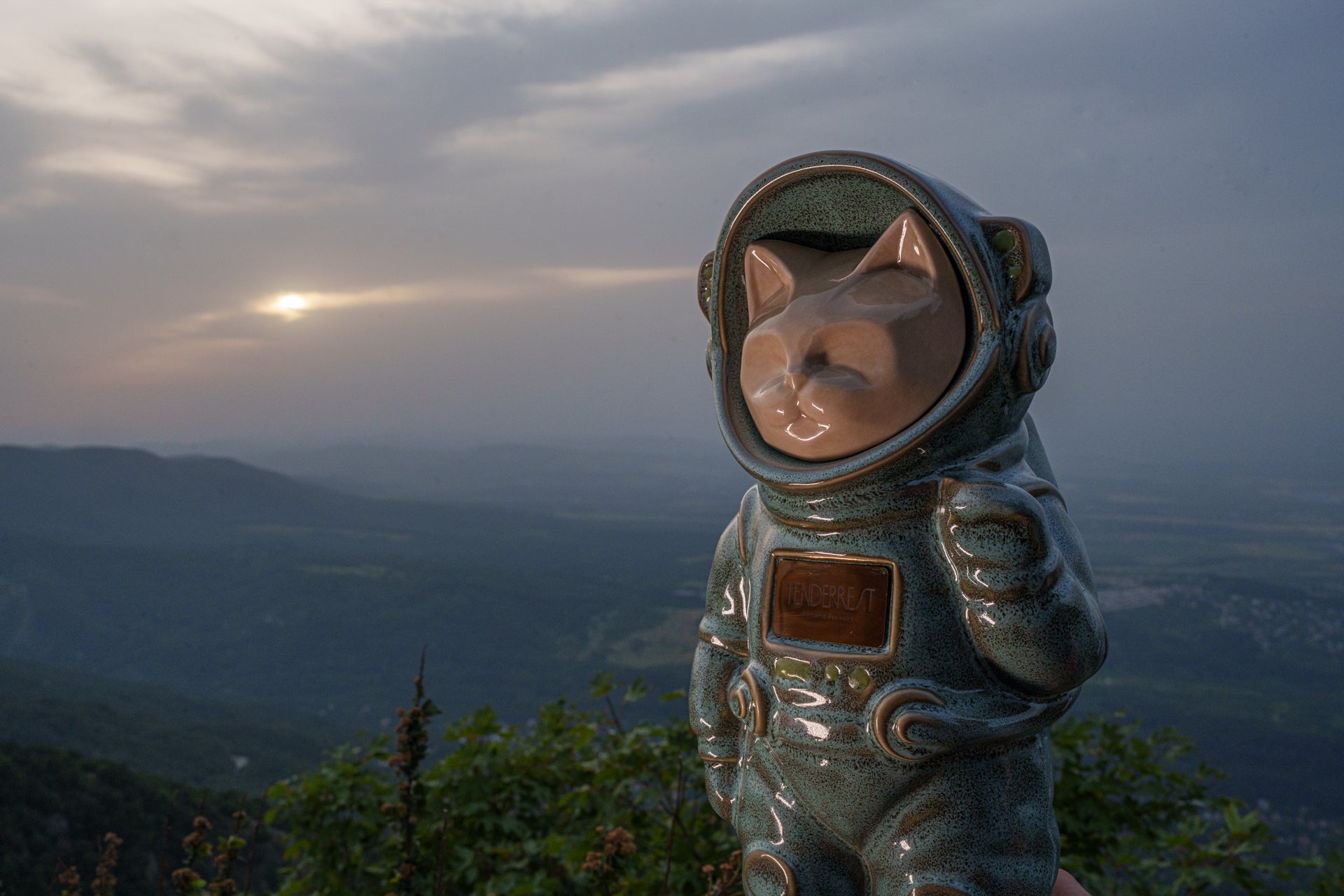 TenderRest Cremation Pet Urn. Cat Urn. Cat Cremation Urn for Ashes. PEt Urn for Cat.