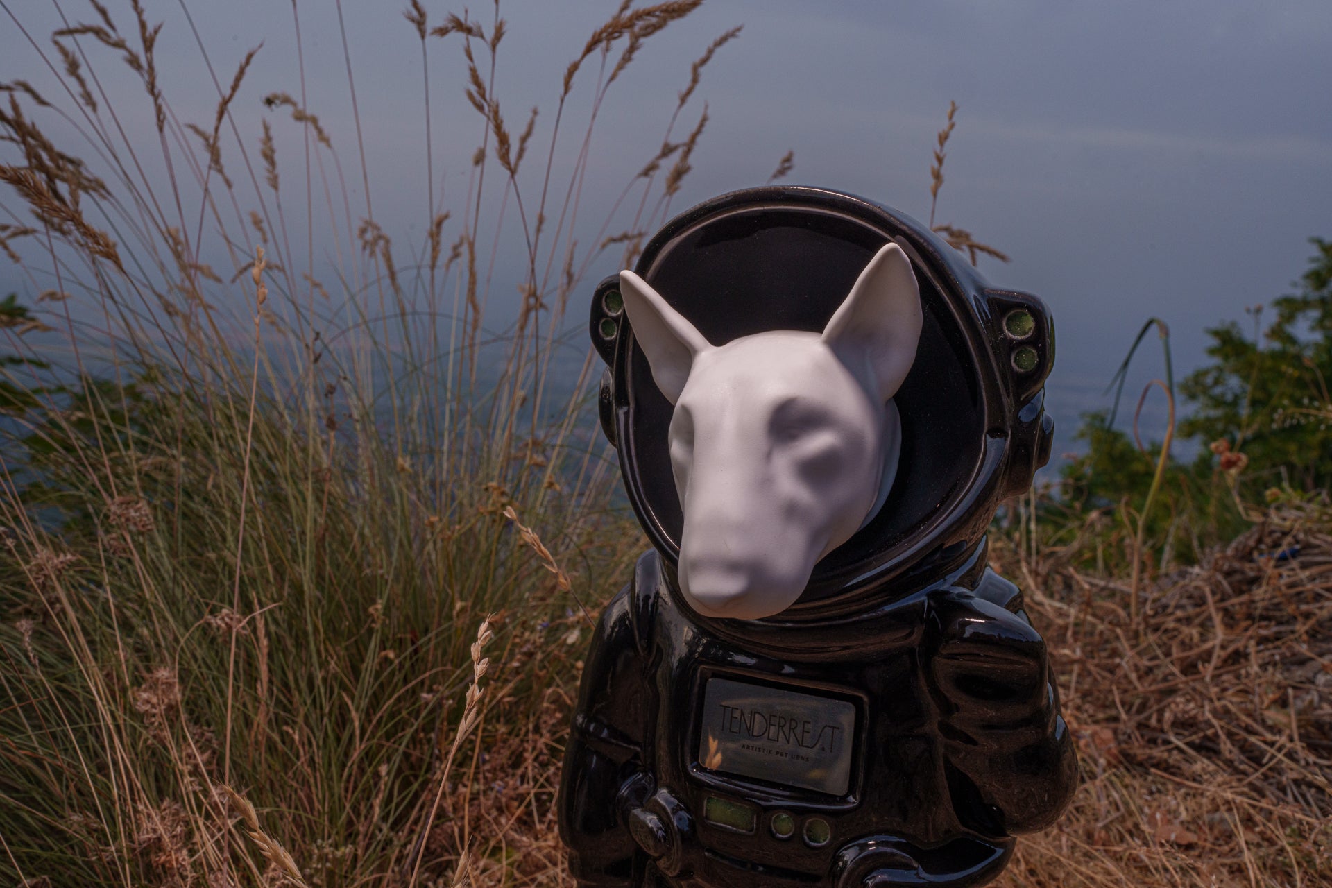 Dog Fully Customizable Urn, White Costume, Custom Head, Pet Urn Bull Terrier