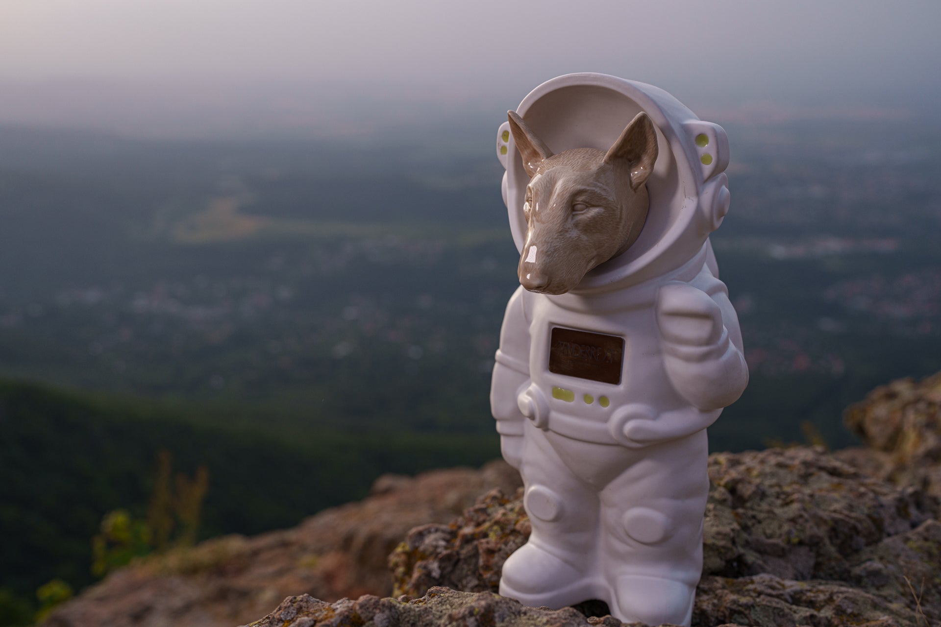 Urn for Ashes Astronaut Dog Bull Terrier. Handmade Customisable Dog Cremation Urn. Handmade Astronaut Art Urn. Keepsake for Ashes by TenderRest. White Costume