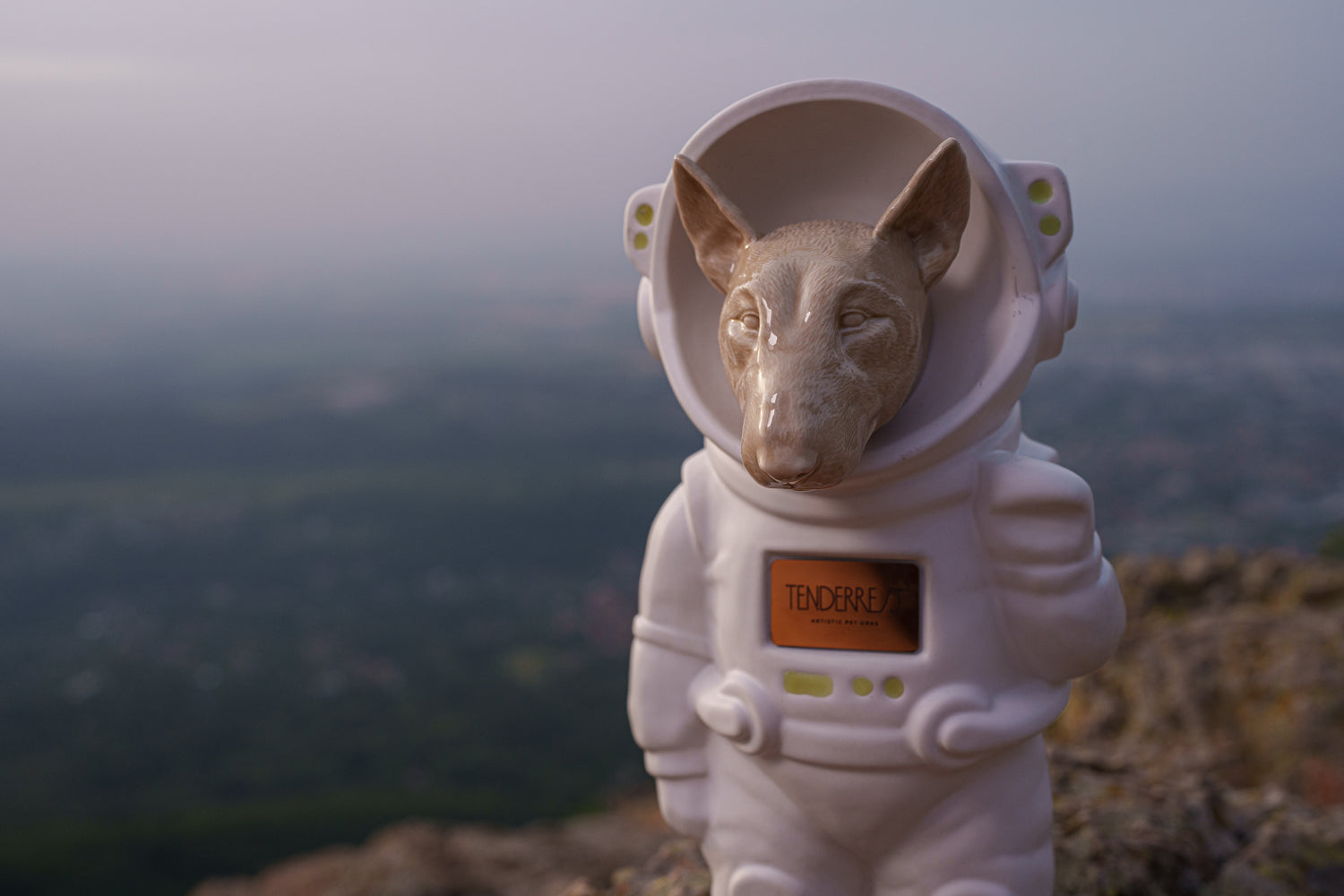 TenderRest Customisable Pet Urn. Dog Urn for Ashes. Bull Terrier Customisable Astronaut cremation Urn.