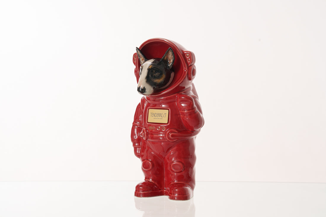 Urn for Ashes Astronaut Dog Bull Terrier. Handmade Customisable Dog Cremation Urn. Handmade Astronaut Art Urn. Keepsake for Ashes by TenderRest. Red Costume