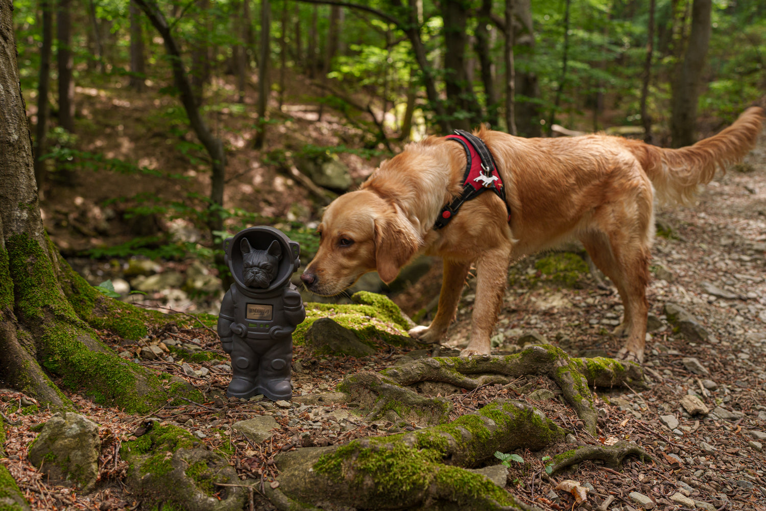 Dog Cremation Urn for ashes by TenderRest. World's first customisable Pet Urn