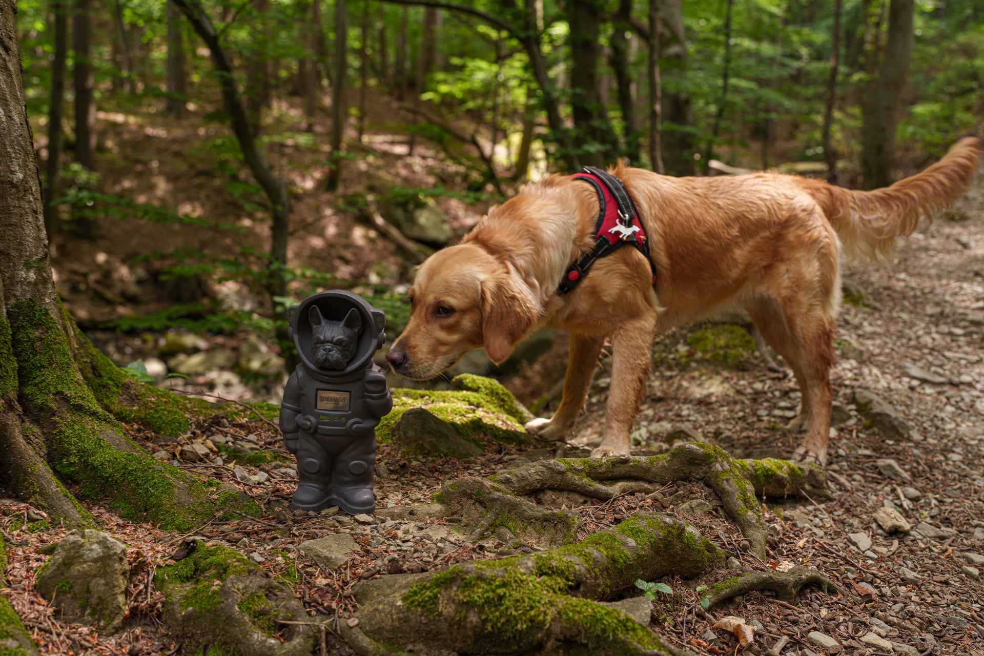 Dog Cremation Urn for ashes by TenderRest. World's first customisable Pet Urn