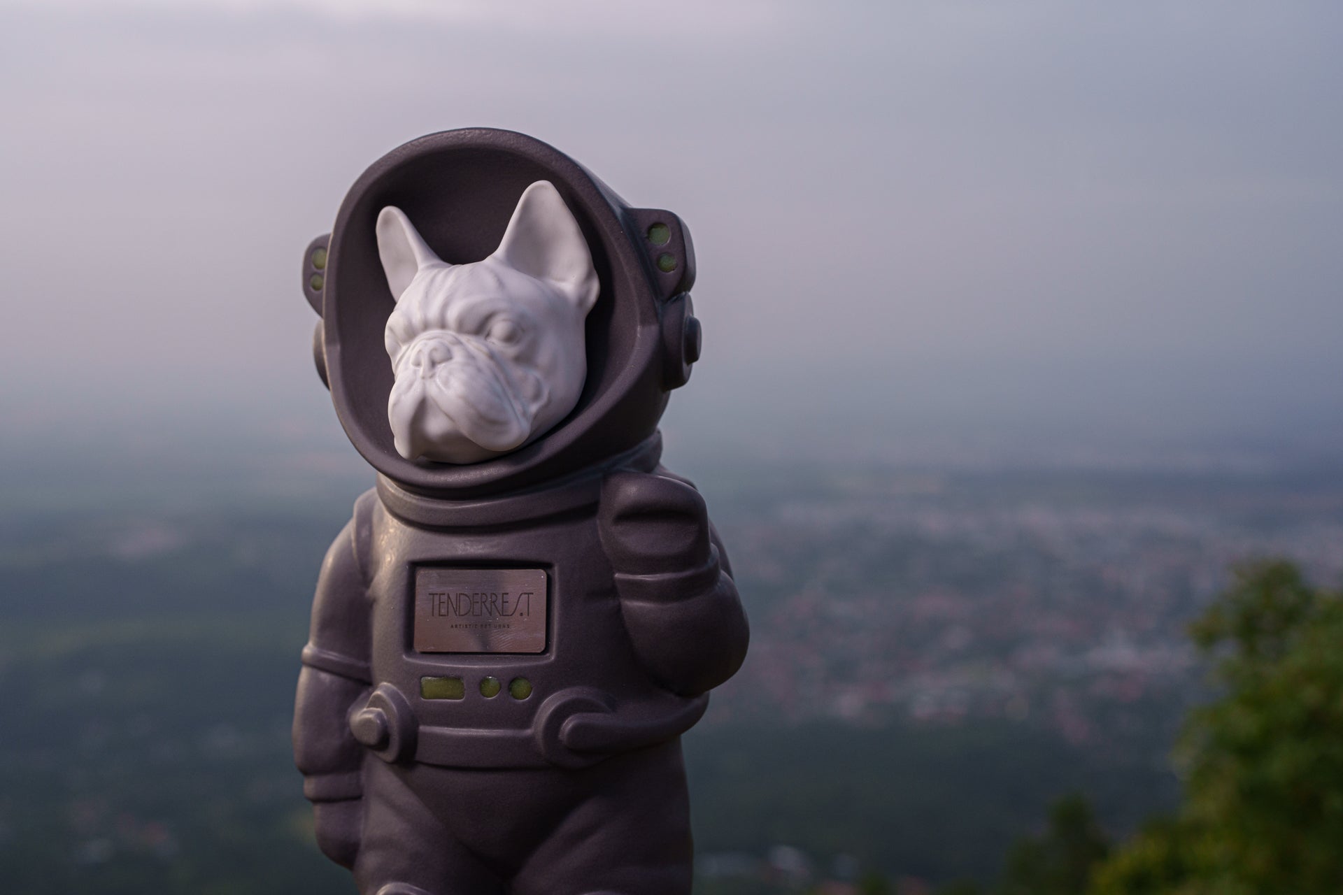 Dog Cremation Urn for ashes by TenderRest. World's first customisable Pet Urn