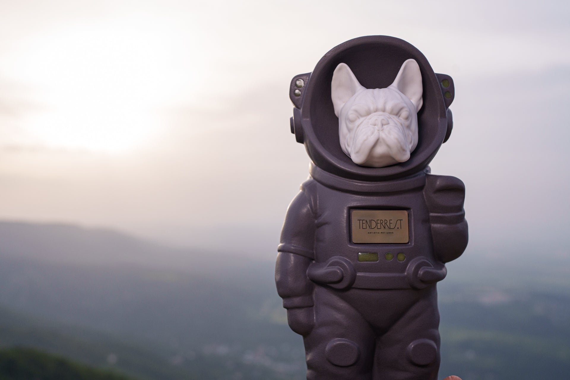 Customizable Pet Memorial Urn for French Bulldog. Frenchie Urn Figure