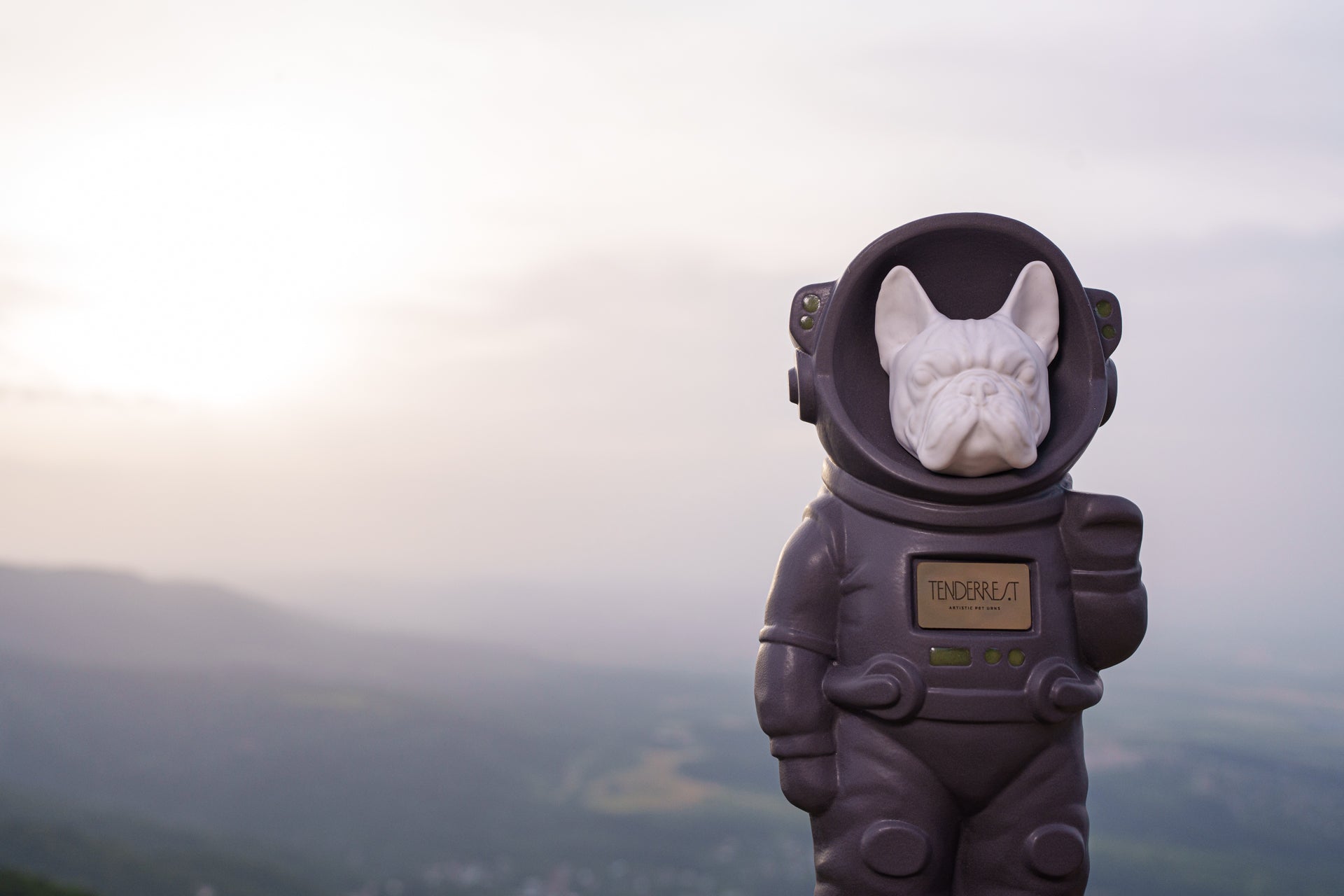 Urn for Ashes Astronaut Dog French Bulldog. Handmade Customisable Dog Cremation Urn. Handmade Astronaut Art Urn. Keepsake for Ashes by TenderRest. Grey Costume
