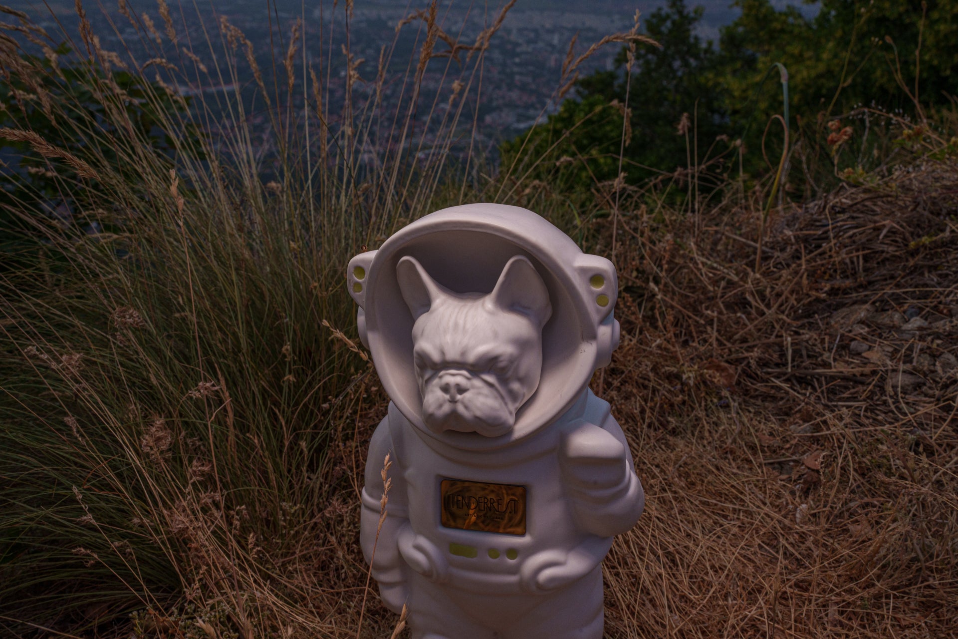 Urn for Ashes Astronaut Dog French Bulldog. Handmade Customisable Dog Cremation Urn. Handmade Astronaut Art Urn. Keepsake for Ashes by TenderRest. White Costume