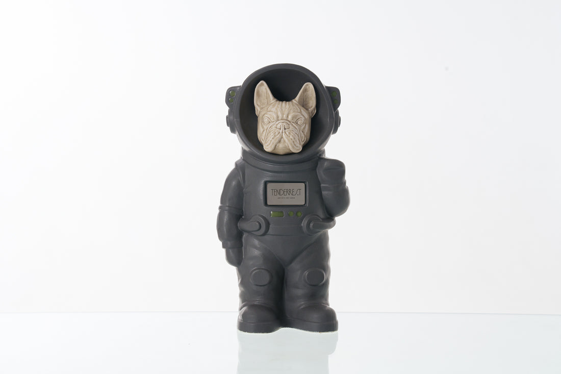 Urn for Ashes Astronaut Dog French Bulldog. Handmade Customisable Dog Cremation Urn. Handmade Astronaut Art Urn. Keepsake for Ashes by TenderRest. Grey Costume