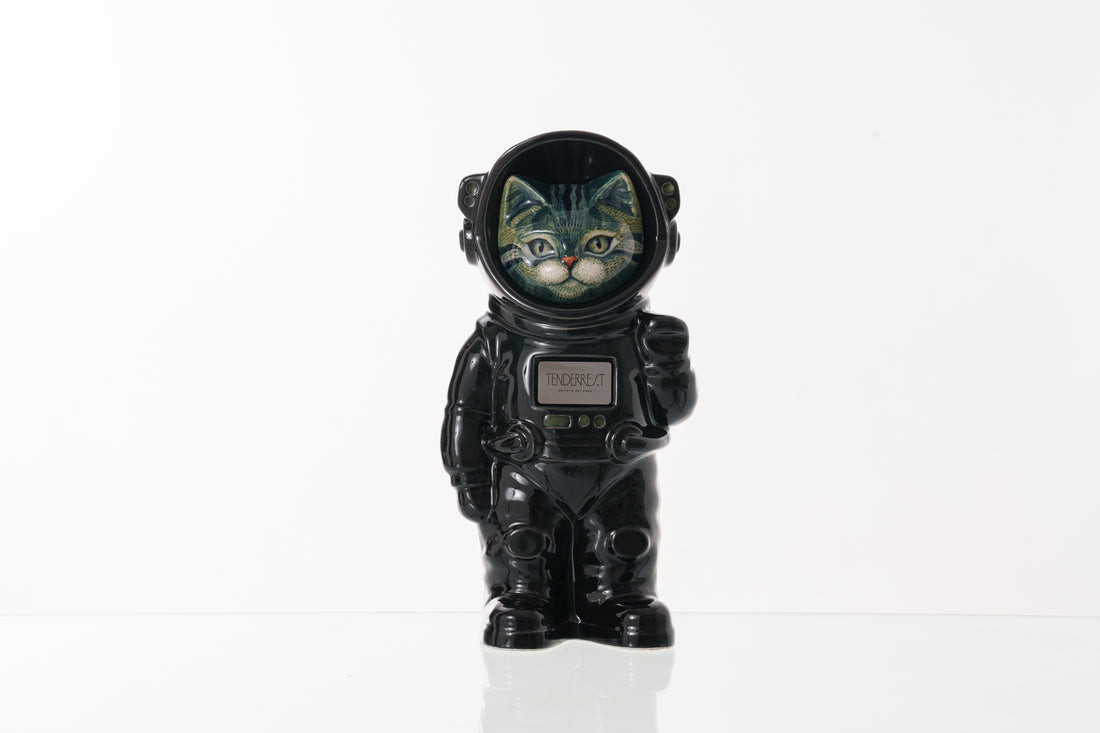 Handmade Customisable Cat Aurora Cremation Urn. Handmade Astronaut Art Urn by TenderRest