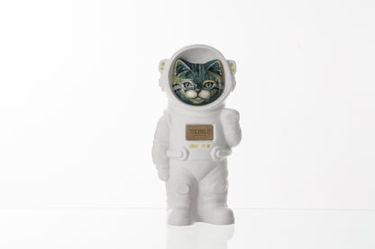 Handmade Customisable Cat Aurora Cremation Urn. Handmade Astronaut Art Urn by TenderRest