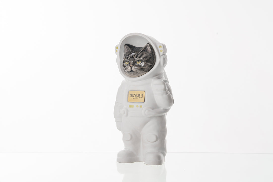 Customisable Pet Urn. Urn for Ashes Astronaut Cat. Handmade Customisable Cat Cremation Urn. Handmade Astronaut Art Urn. Keepsake for Ashes by TenderRest. White Costume