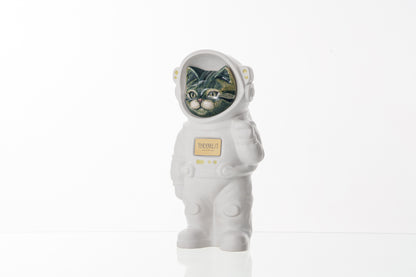 Handmade Customisable Cat Aurora Cremation Urn. Handmade Astronaut Art Urn by TenderRest