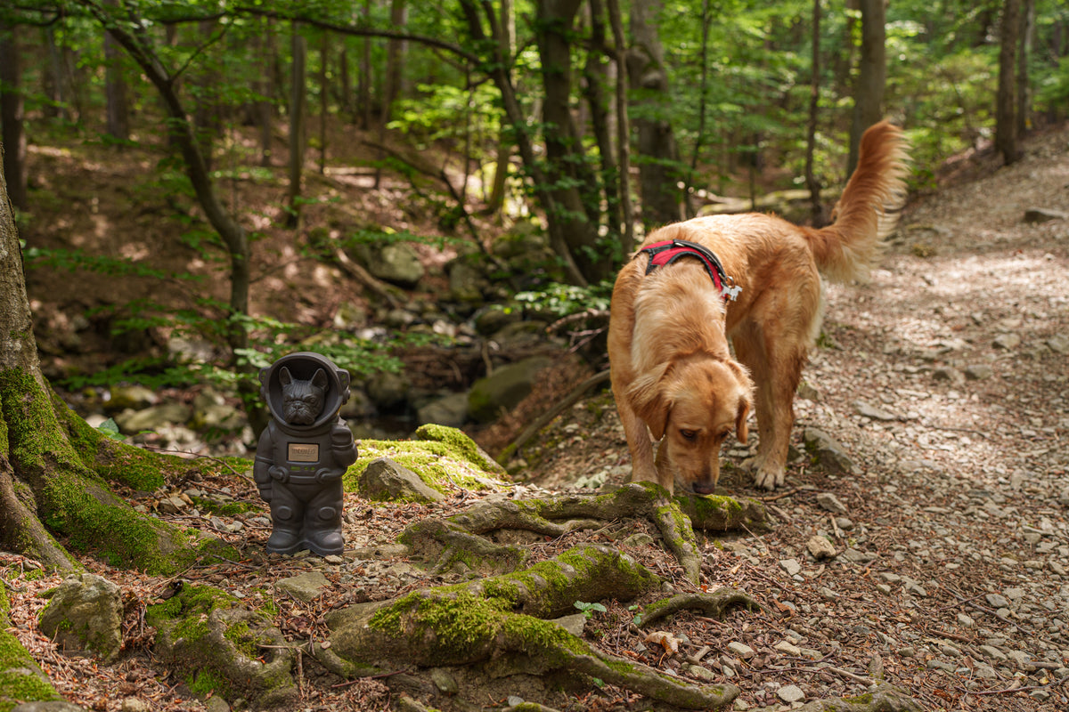 Dog Cremation Urn for ashes by TenderRest. World's first customisable Pet Urn