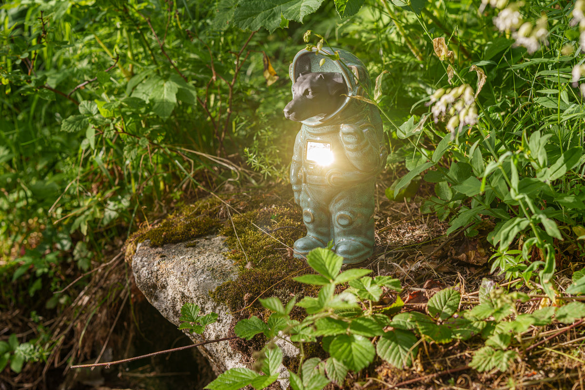 Customizable Pet Urn For Ashes. Pet Cremation Urn. Memorial Pet Urn by Tender Rest.  Tender Rest Urns Jack Russel Pet Urn