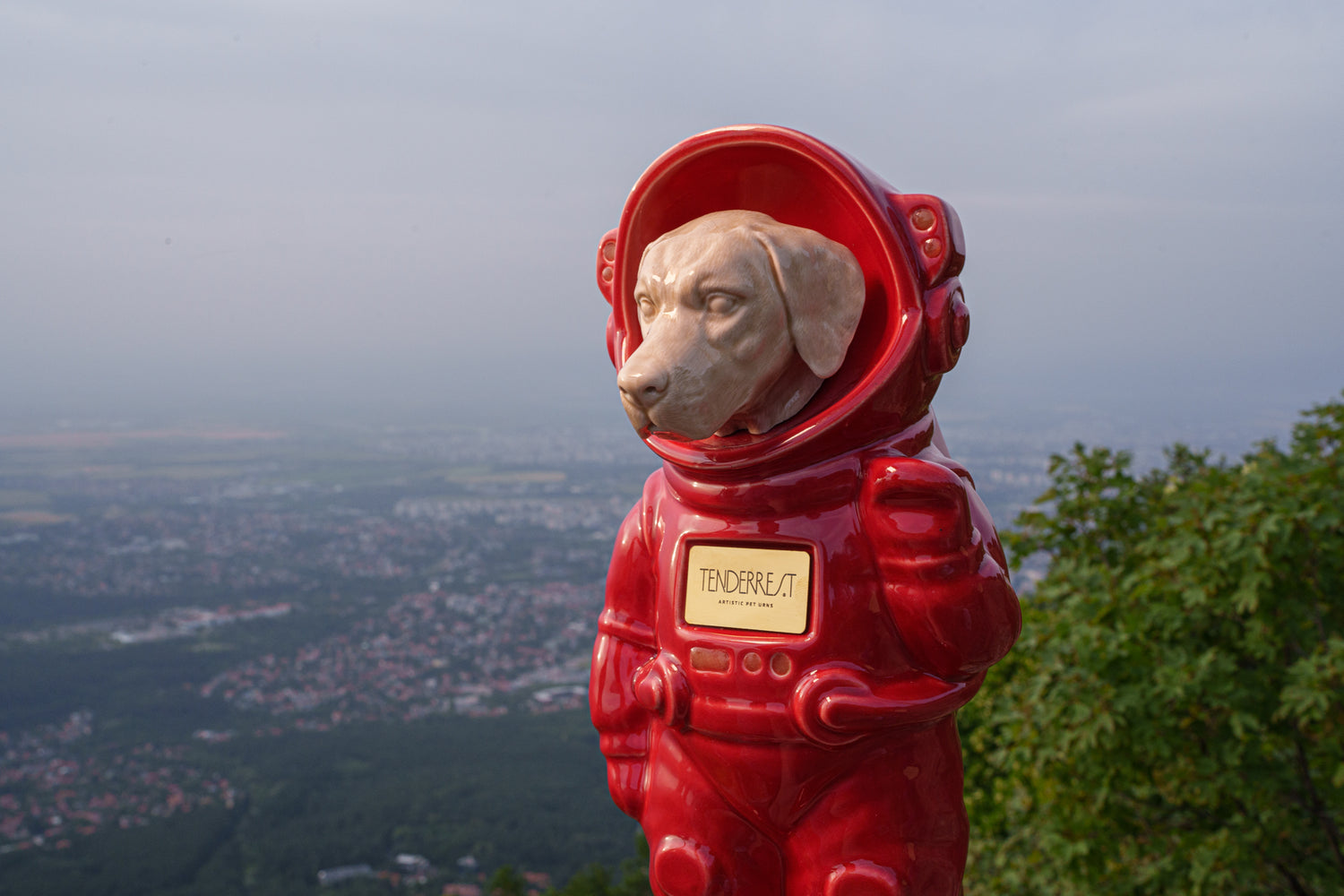 Dog Fully Customizable Urn, White Costume, Custom Head, Pet Urn